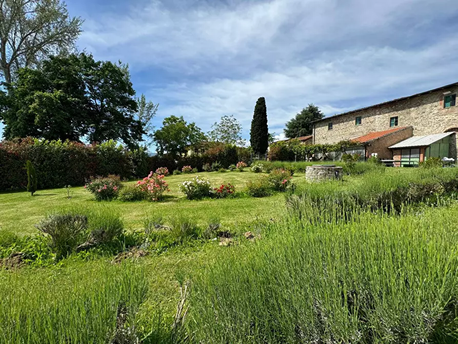 Immagine 39 di Azienda agricola in vendita  in VIA NAZIONALE 28 a Bibbiena