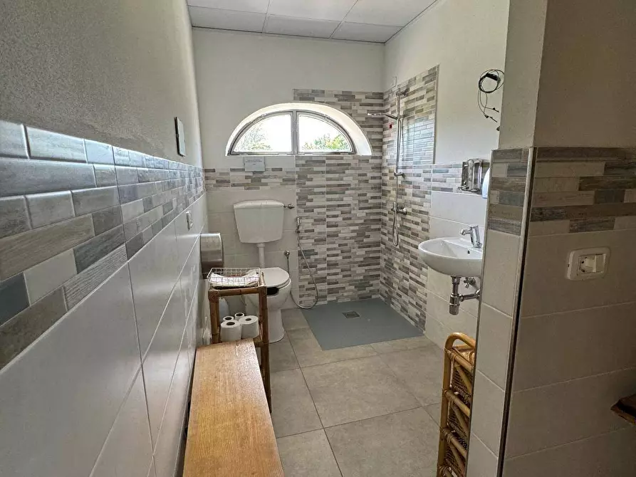 Immagine 46 di Azienda agricola in vendita  in VIA NAZIONALE 28 a Bibbiena