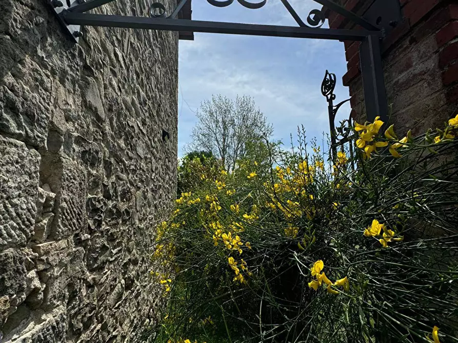 Immagine 55 di Azienda agricola in vendita  in VIA NAZIONALE 28 a Bibbiena