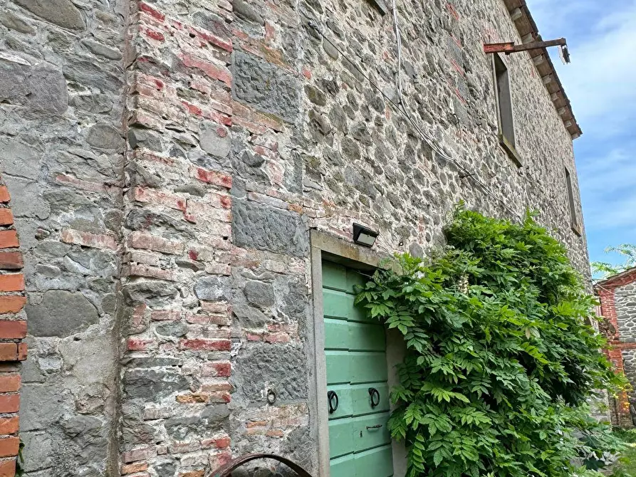 Immagine 56 di Azienda agricola in vendita  in VIA NAZIONALE 28 a Bibbiena