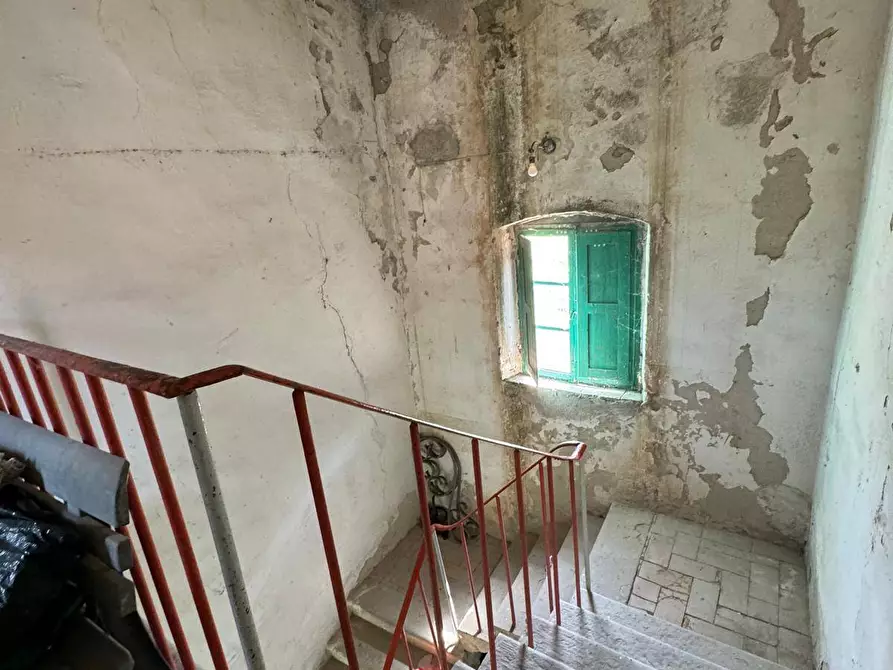 Immagine 59 di Azienda agricola in vendita  in VIA NAZIONALE 28 a Bibbiena