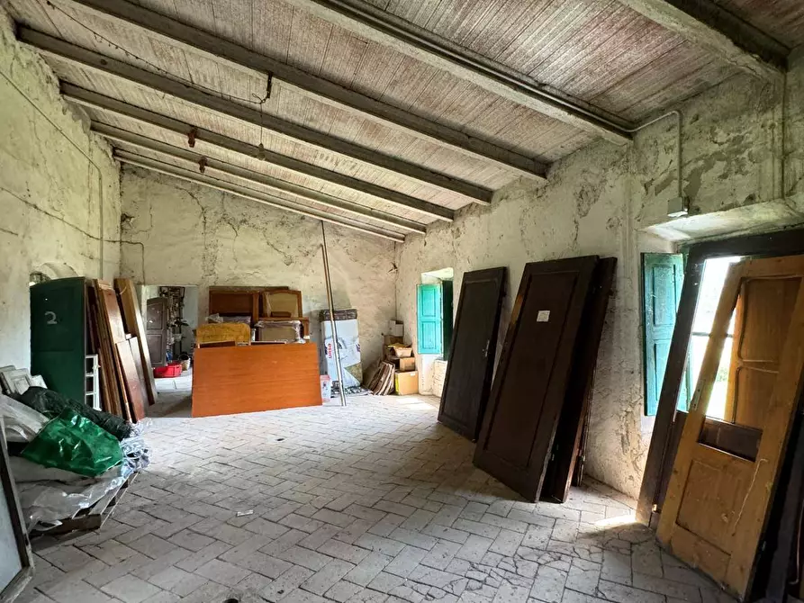 Immagine 60 di Azienda agricola in vendita  in VIA NAZIONALE 28 a Bibbiena