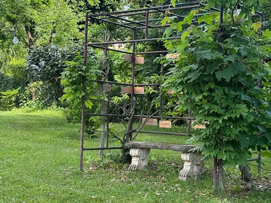 Immagine 71 di Azienda agricola in vendita  in VIA NAZIONALE 28 a Bibbiena