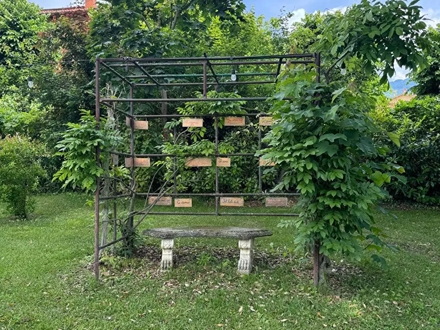 Immagine 72 di Azienda agricola in vendita  in VIA NAZIONALE 28 a Bibbiena