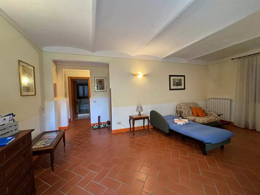 Immagine 74 di Azienda agricola in vendita  in VIA NAZIONALE 28 a Bibbiena