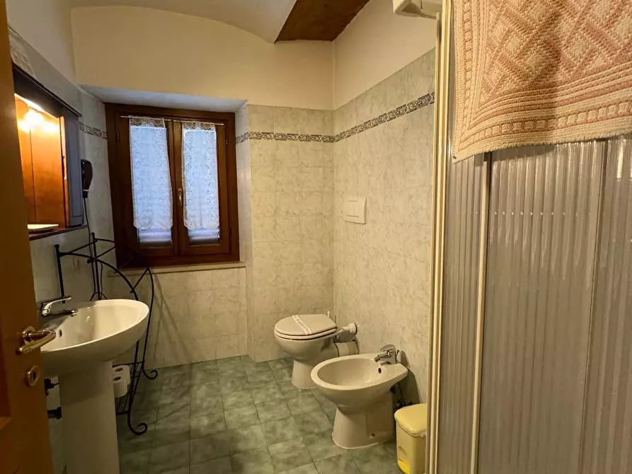 Immagine 77 di Azienda agricola in vendita  in VIA NAZIONALE 28 a Bibbiena