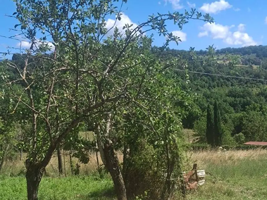 Immagine 17 di Casa semindipendente in vendita  in via della torre e tartiglia 16 a Castel San Niccolò