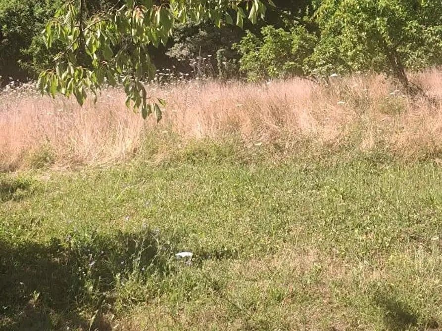 Immagine 22 di Casa semindipendente in vendita  in via della torre e tartiglia 16 a Castel San Niccolò