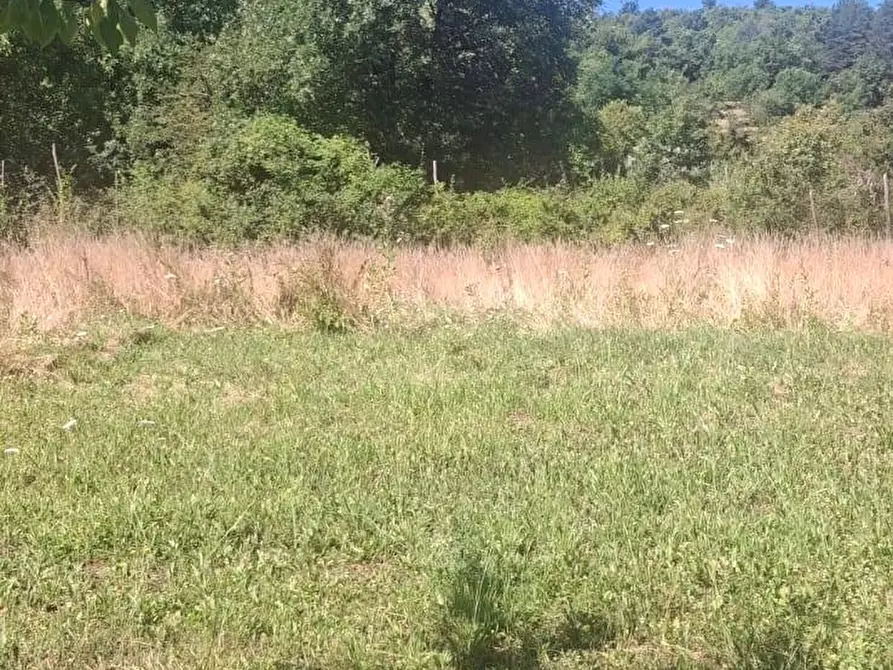 Immagine 24 di Casa semindipendente in vendita  in via della torre e tartiglia 16 a Castel San Niccolò