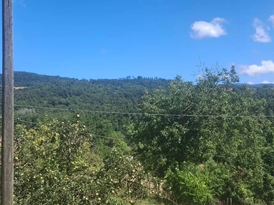 Immagine 25 di Casa semindipendente in vendita  in via della torre e tartiglia 16 a Castel San Niccolò