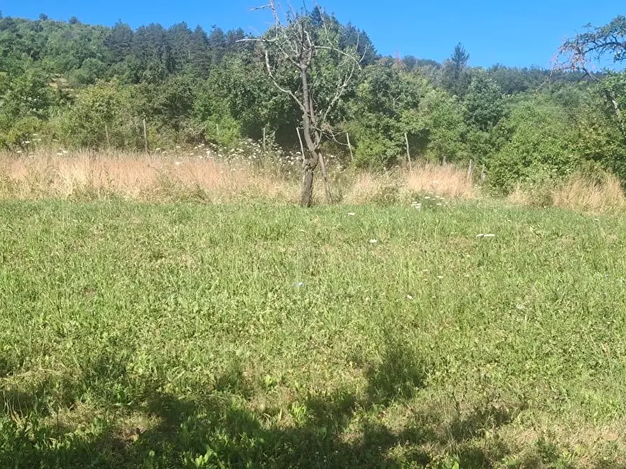 Immagine 26 di Casa semindipendente in vendita  in via della torre e tartiglia 16 a Castel San Niccolò