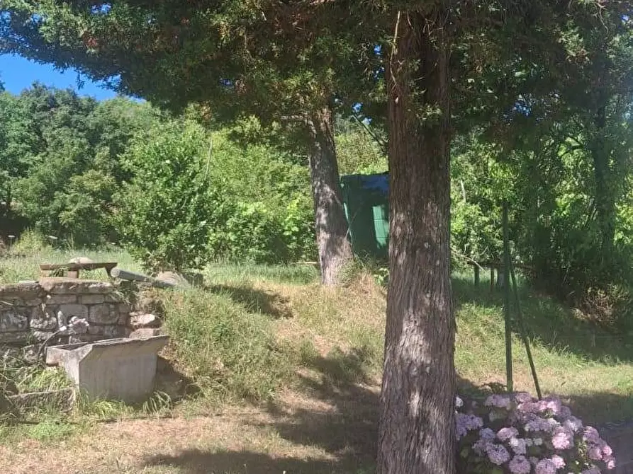 Immagine 29 di Casa semindipendente in vendita  in via della torre e tartiglia 16 a Castel San Niccolò