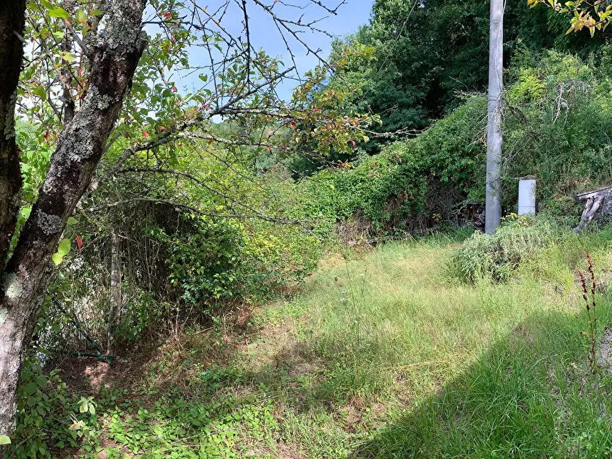 Immagine 7 di Casa semindipendente in vendita  in CASE SPARSE BANZENA 57 a Bibbiena