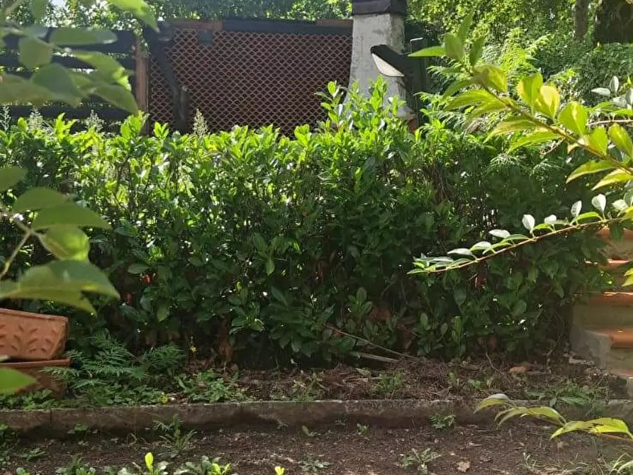 Immagine 25 di Villetta a schiera in vendita  in VIA POGGETTO PODERINA 66 a Bibbiena