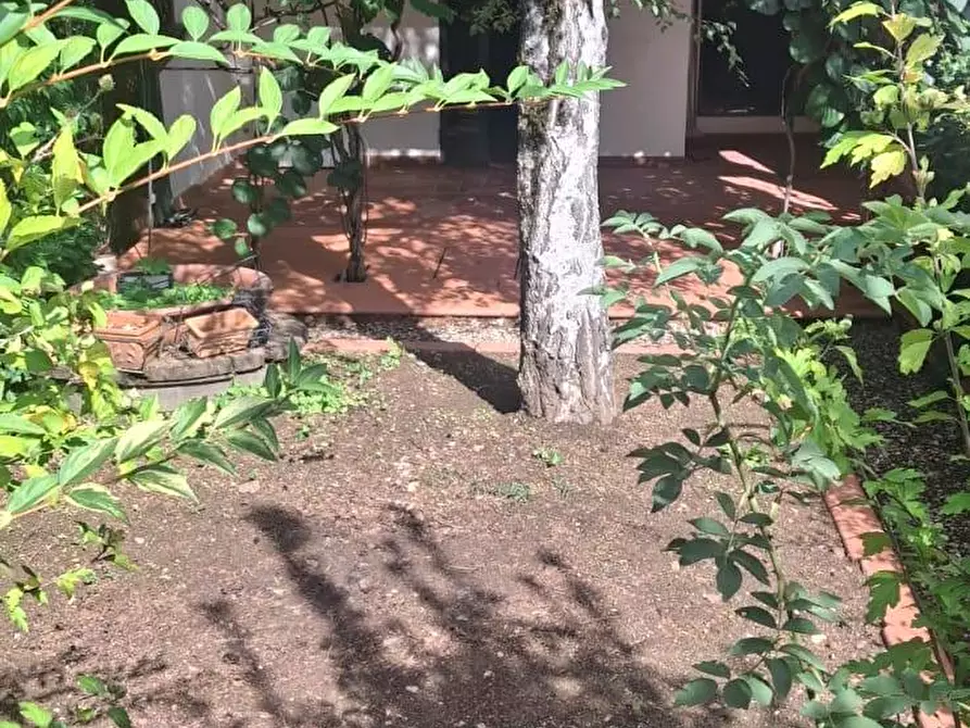 Immagine 26 di Villetta a schiera in vendita  in VIA POGGETTO PODERINA 66 a Bibbiena