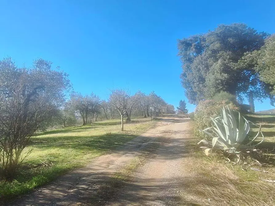 Immagine 16 di Villa in vendita  in via delle corticelle 21 a Civitella In Val Di Chiana