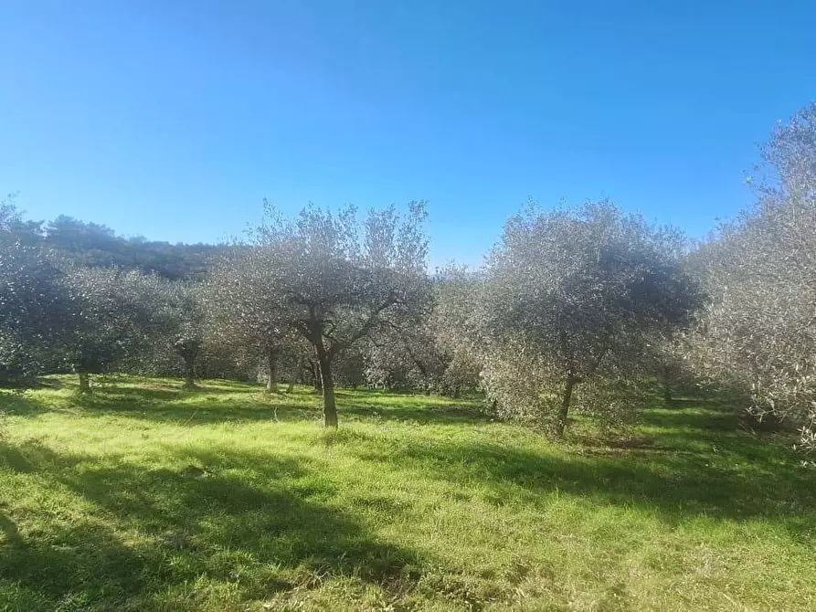 Immagine 18 di Villa in vendita  in via delle corticelle 21 a Civitella In Val Di Chiana