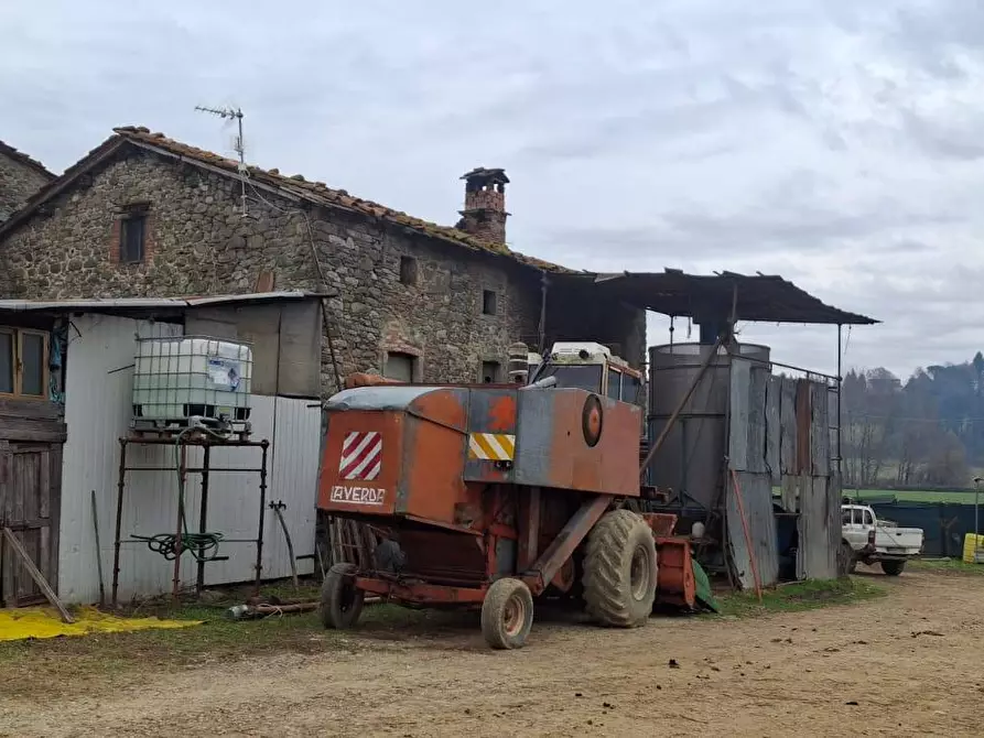 Immagine 2 di Azienda agricola in vendita  in LOC FERRANTINA 61 a Bibbiena