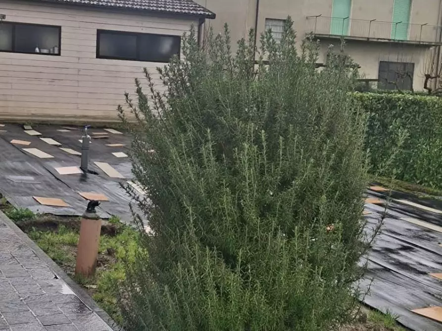 Immagine 6 di Casa semindipendente in vendita  in VIA NAZIONALE 21 a Bibbiena