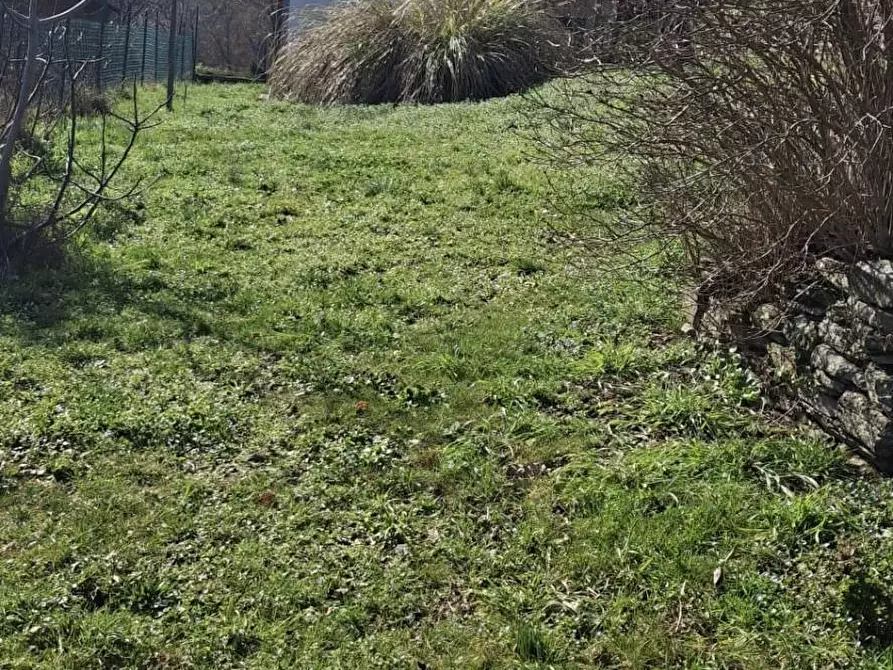 Immagine 14 di Casa semindipendente in vendita  in LOC. LE LASTRE 152 a Castel San Niccolò