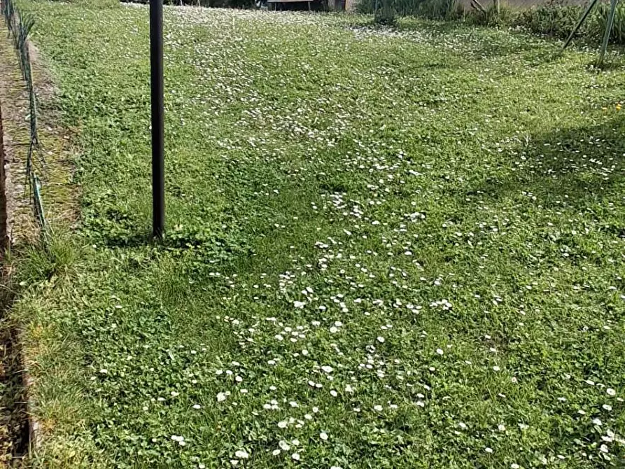 Immagine 26 di Appartamento in vendita  in VIA DANTE 6/B a Bibbiena