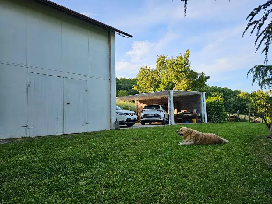 Immagine 24 di Villetta a schiera in vendita  in LOC QUORLE 4 a Poppi