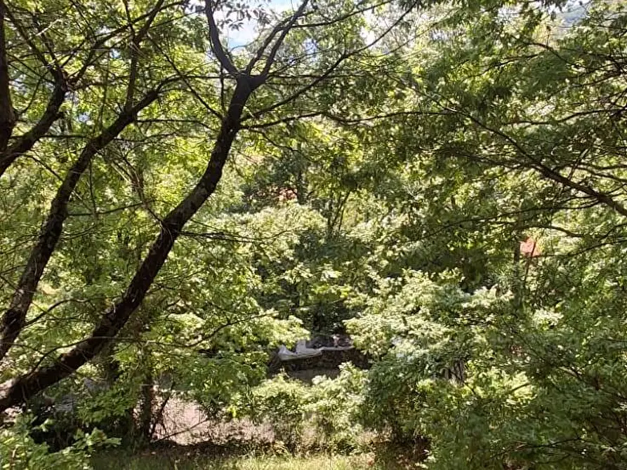 Immagine 25 di Casa indipendente in vendita  in LOC CERRETO 12 a Capolona
