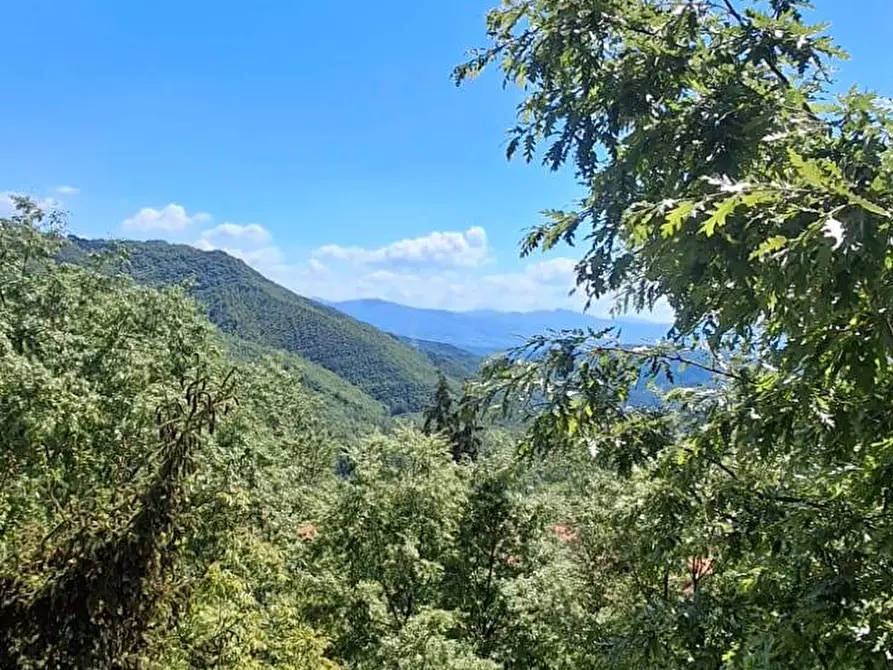 Immagine 29 di Casa indipendente in vendita  in LOC CERRETO 12 a Capolona