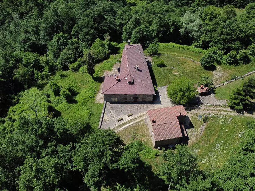 Immagine 3 di Casa indipendente in vendita  in LOCALITA CASPRIANO SNC a Londa