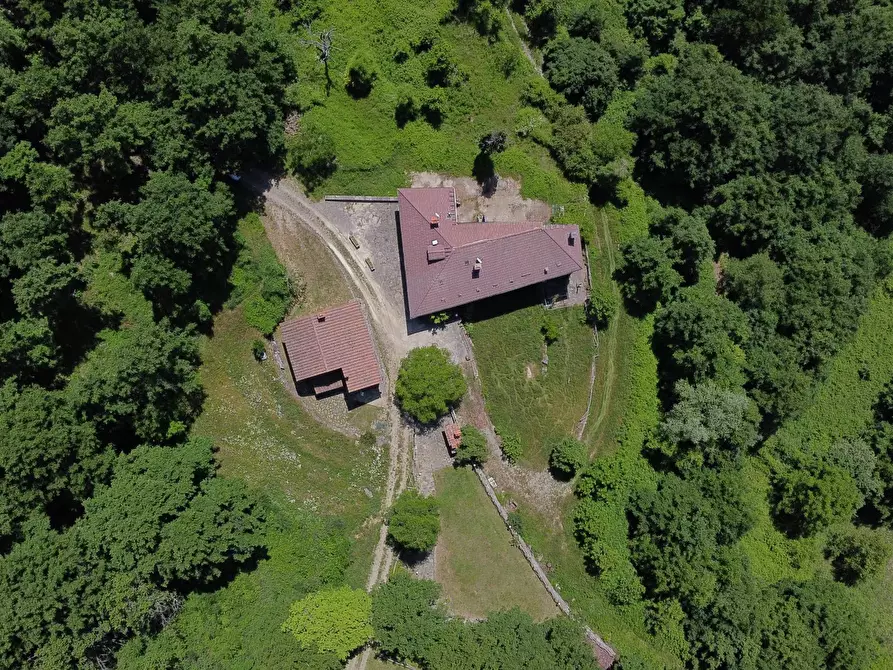Immagine 9 di Casa indipendente in vendita  in LOCALITA CASPRIANO SNC a Londa