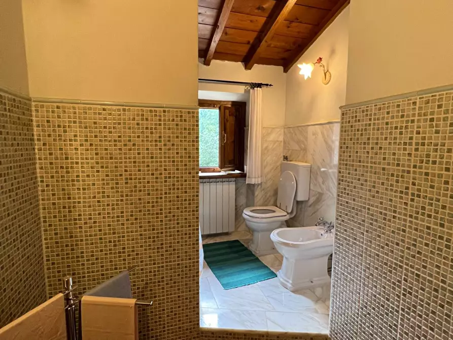 Immagine 14 di Casa indipendente in vendita  in LOCALITA CASPRIANO SNC a Londa