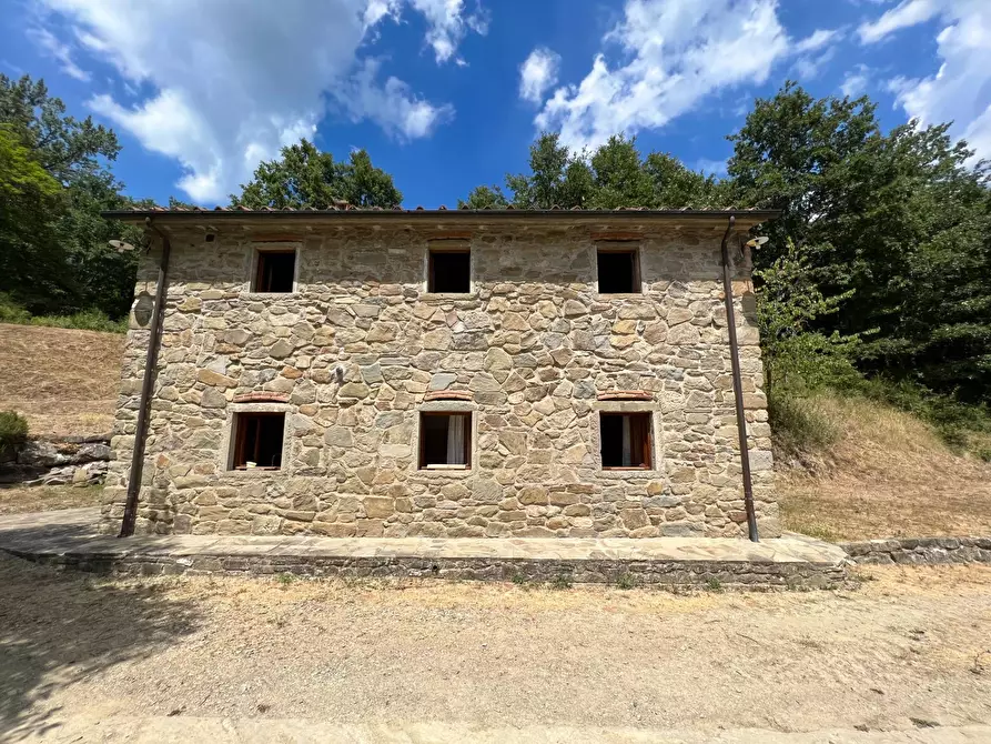 Immagine 28 di Casa indipendente in vendita  in LOCALITA CASPRIANO SNC a Londa