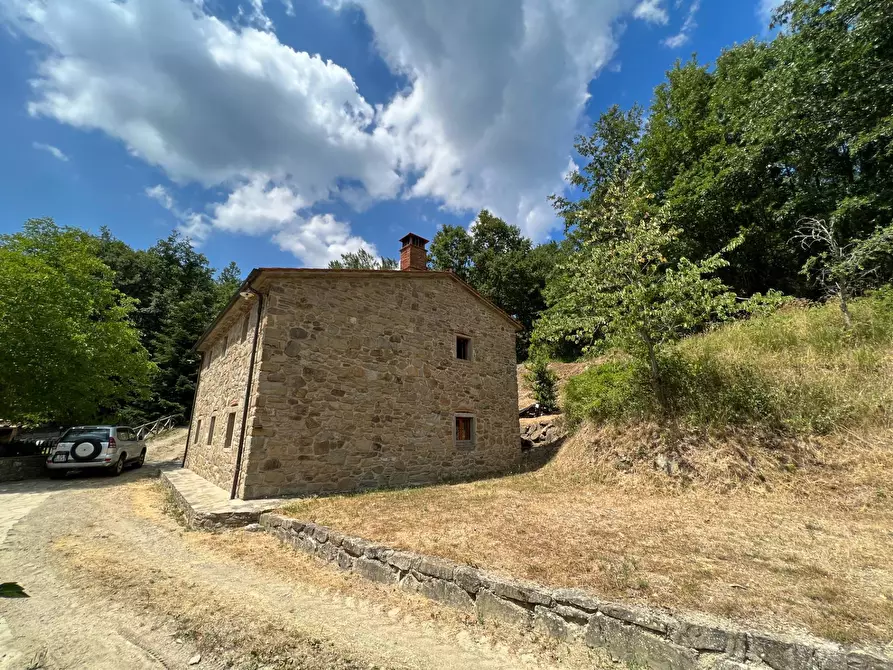 Immagine 29 di Casa indipendente in vendita  in LOCALITA CASPRIANO SNC a Londa