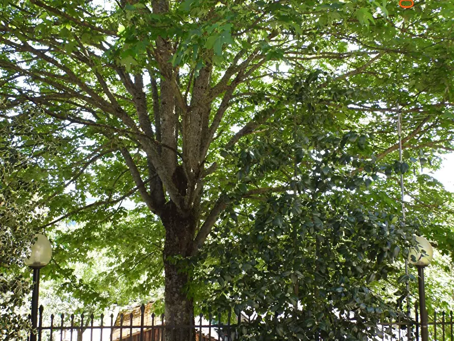 Immagine 44 di Appartamento in vendita  in VIA DELLA ROCCA 2 a Capolona
