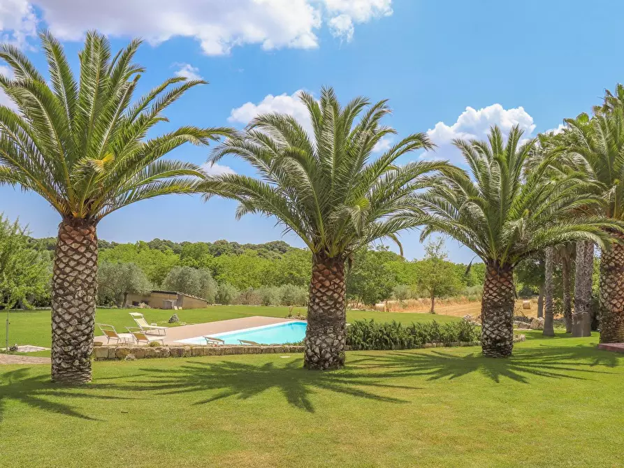 Immagine 8 di Villa in vendita  in strada provinciale 24 noto snc a Noto