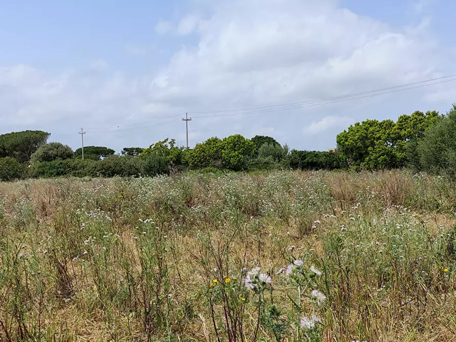 Immagine 8 di Terreno residenziale in vendita  in via isola snc a Siracusa