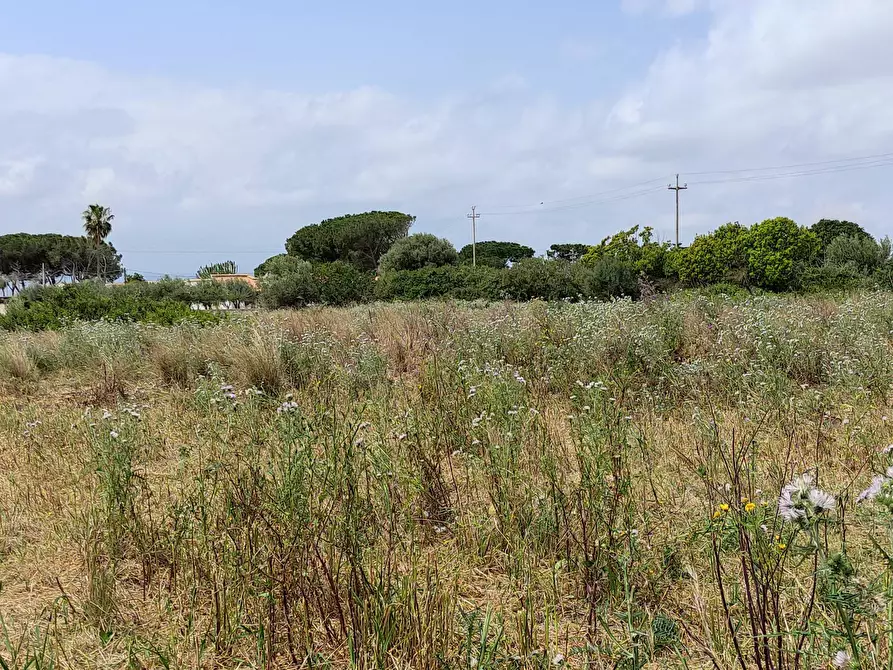 Immagine 9 di Terreno residenziale in vendita  in via isola snc a Siracusa