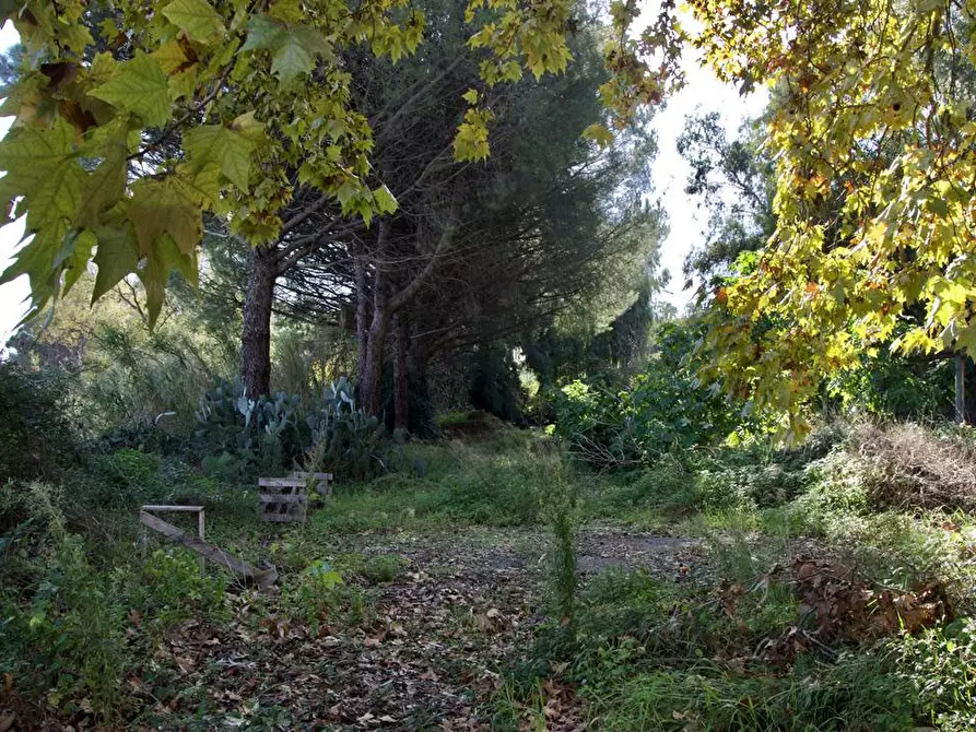 Immagine 14 di Terreno agricolo in vendita  in strada statale 114 snc a Acireale