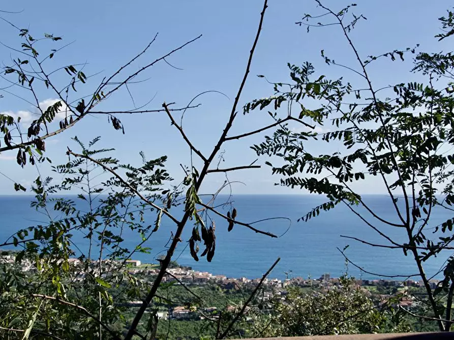 Immagine 15 di Terreno agricolo in vendita  in strada statale 114 snc a Acireale