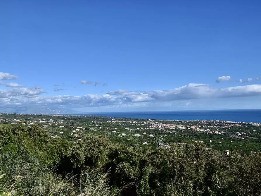 Immagine 9 di Terreno agricolo in vendita  in strada statale 114 snc a Acireale