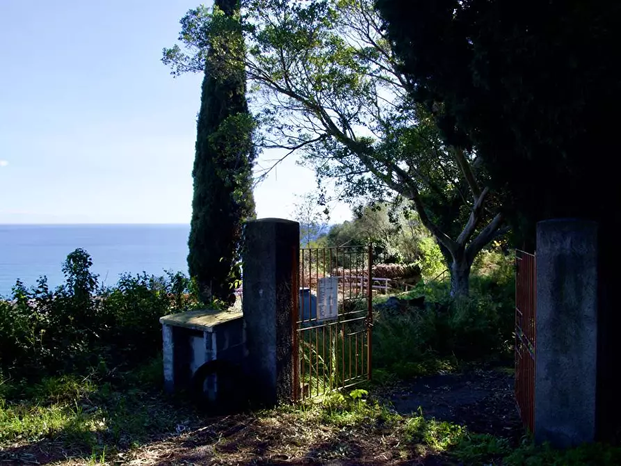 Immagine 10 di Terreno agricolo in vendita  in strada statale 114 snc a Acireale