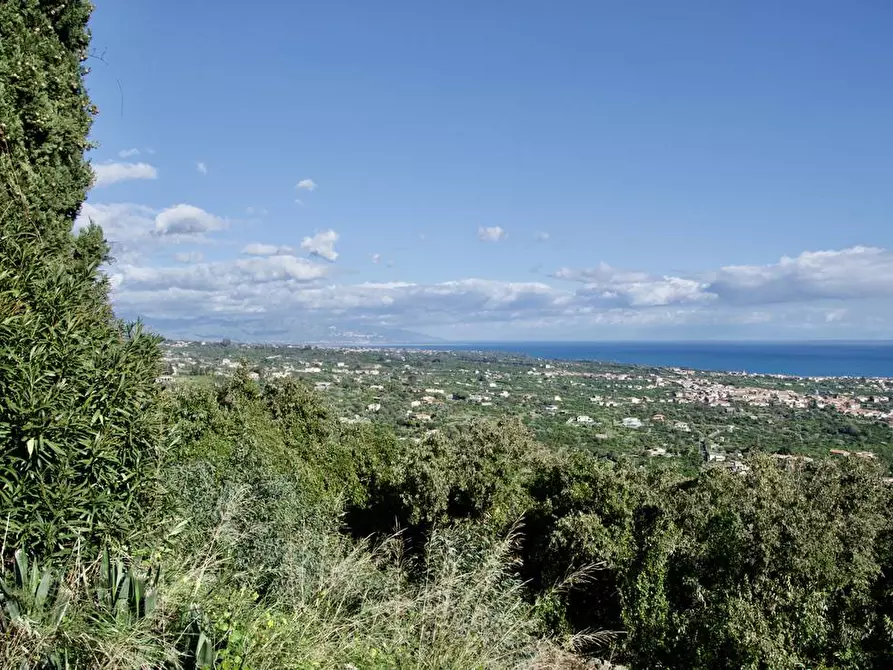 Immagine 18 di Terreno agricolo in vendita  in strada statale 114 snc a Acireale
