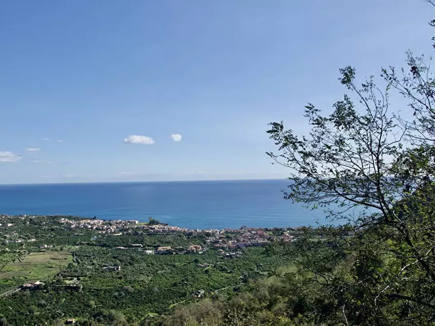 Immagine 20 di Terreno agricolo in vendita  in strada statale 114 snc a Acireale