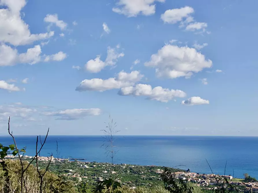 Immagine 21 di Terreno agricolo in vendita  in strada statale 114 snc a Acireale