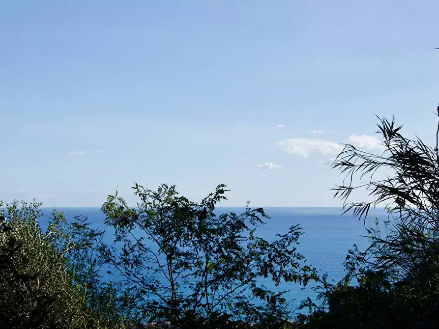 Immagine 27 di Terreno agricolo in vendita  in strada statale 114 snc a Acireale