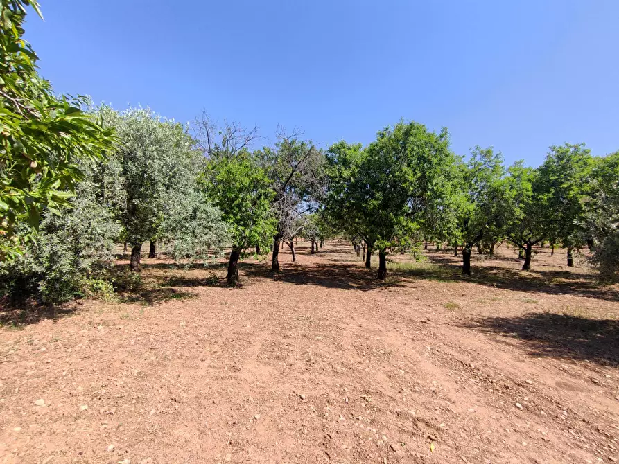 Immagine 1 di Rustico / casale in vendita  in Contrada Volpiglia snc a Noto