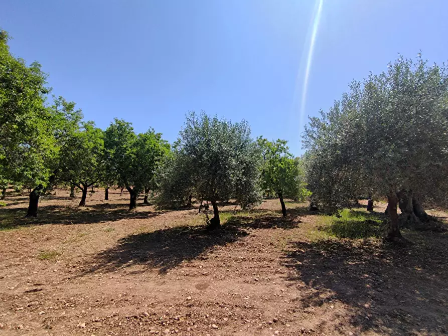 Immagine 4 di Rustico / casale in vendita  in Contrada Volpiglia snc a Noto