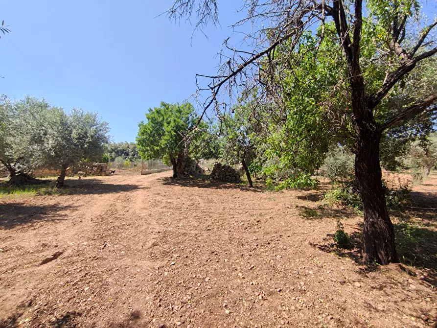 Immagine 8 di Rustico / casale in vendita  in Contrada Volpiglia snc a Noto