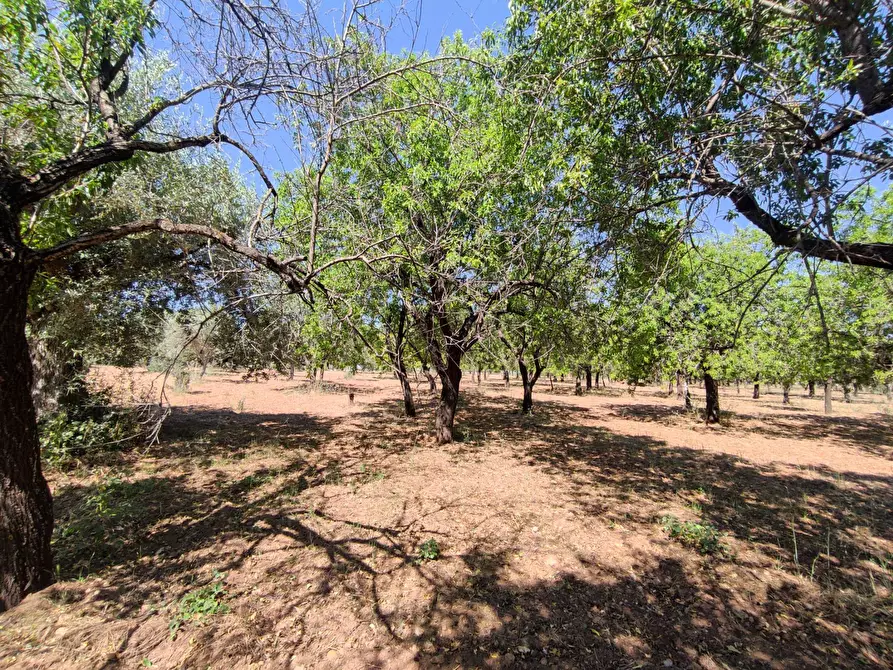 Immagine 10 di Rustico / casale in vendita  in Contrada Volpiglia snc a Noto