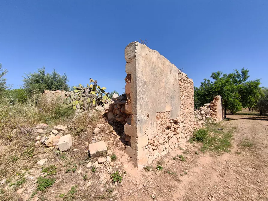 Immagine 15 di Rustico / casale in vendita  in Contrada Volpiglia snc a Noto